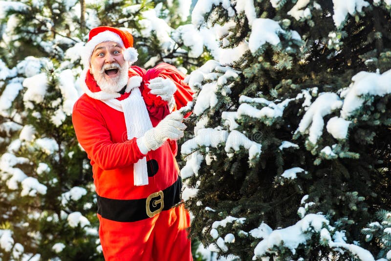 Santa Claus in red costume walk in winter forest. Wish you merry Christmas. Father Christmas brings gifts to children. stock photo Santa Claus in red costume walk in winter forest. Wish you merry Christmas. Father Christmas brings gifts to children. stock photo