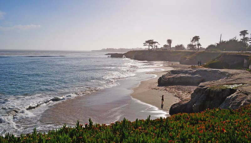 Santa Cruz, California, United States of America, Usa