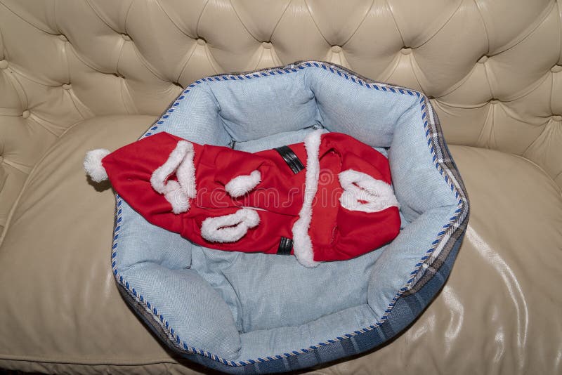 Santa dressed newborn puppy dog christmas stock photos Santa dressed newborn puppy dog christmas stock photos
