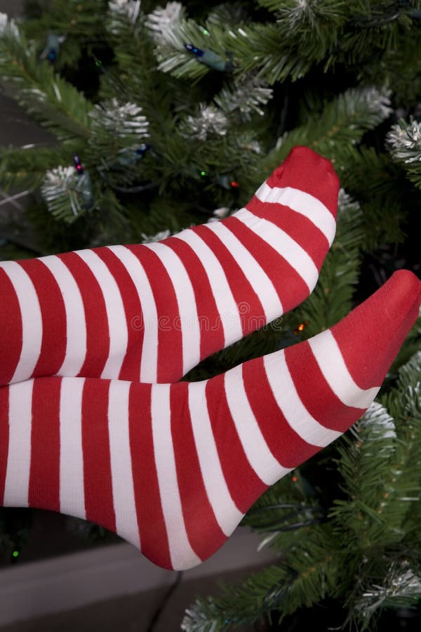 Santa helper socks by tree