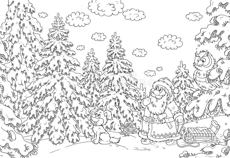 Santa procura uma árvore de Natal ilustração do vetor Santa procura uma árvore de Natal ilustração do vetor