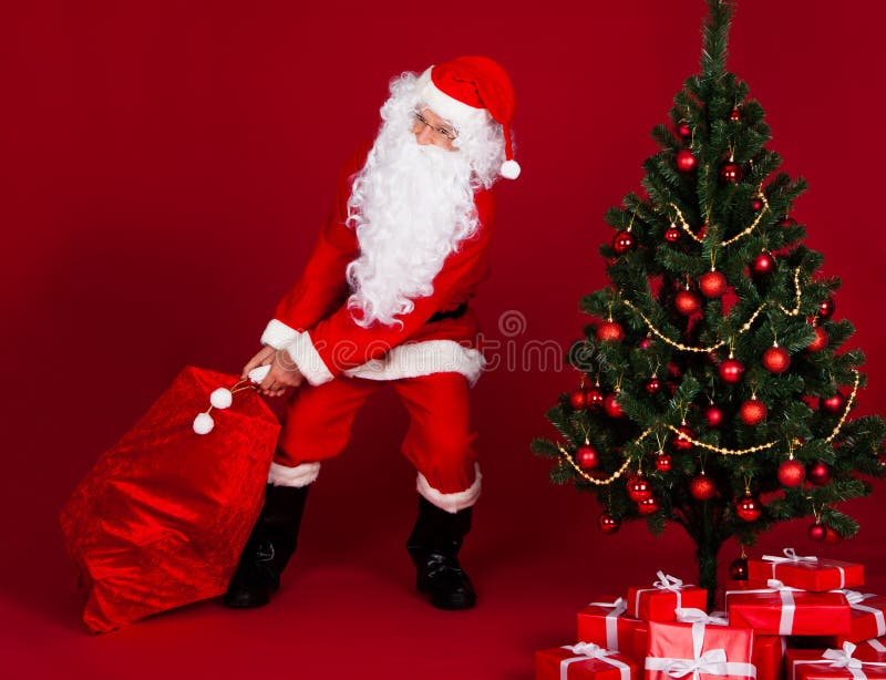 Santa Pulling Christmas Tree Stock Photo - Image of merry, female: 31899322