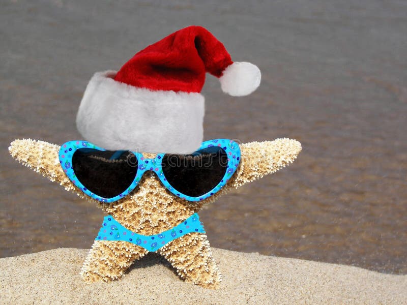 Cute starfish wearing a santa hat and sunglass on the seashore. Cute starfish wearing a santa hat and sunglass on the seashore.