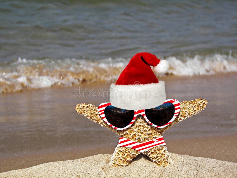 Santa starfish wearing sunglasses, bikini, and hat on the seashore. Santa starfish wearing sunglasses, bikini, and hat on the seashore.