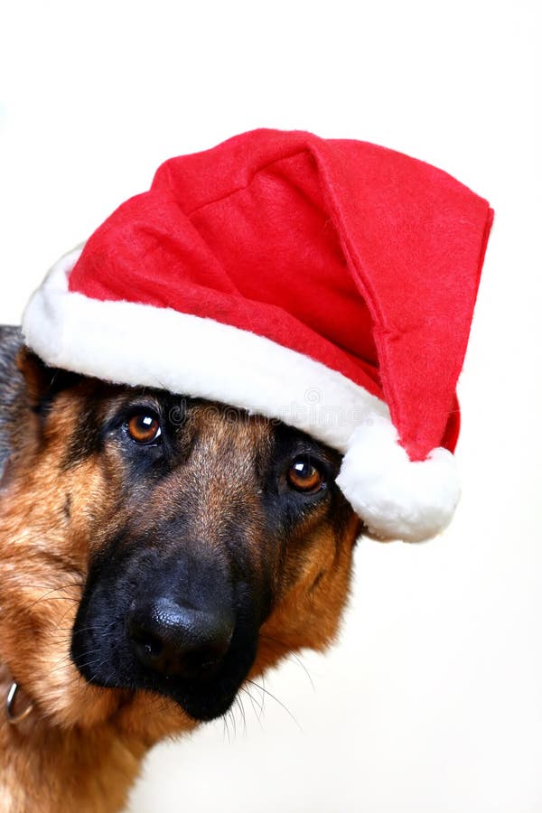 santa ερχομού santa ερχομού