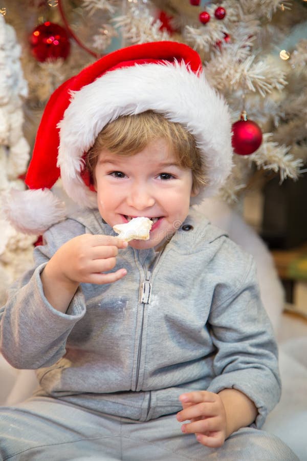 Santas little helper eating Christmas cookies. stock image Santas little helper eating Christmas cookies. stock image