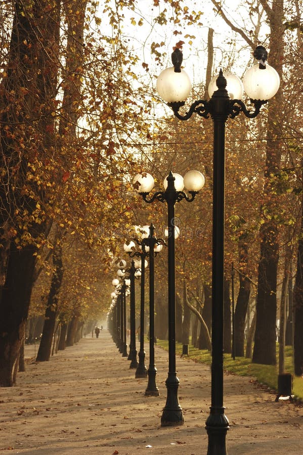 Autumn in the forest park one of the traditional city parks in Santiago de Chile, is located in the heart of the city, between the District and historic downtown Aubrey, whose referent is the Plaza de Armas in Santiago. Borders across the Rio Mapocho entire historic center of Santiago in its northern boundary from the Plaza Baquedano and Italy to the Mapocho Station and at its midpoint is the Muse