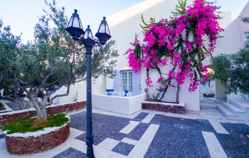 Santorini, White Villa court with flowers and tree cuort in Greece. Santorini, White Villa court with flowers and tree cuort in Greece