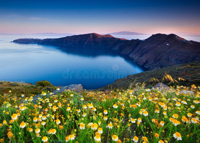 santorini wiosna zdjęcie royalty free santorini wiosna zdjęcie royalty free
