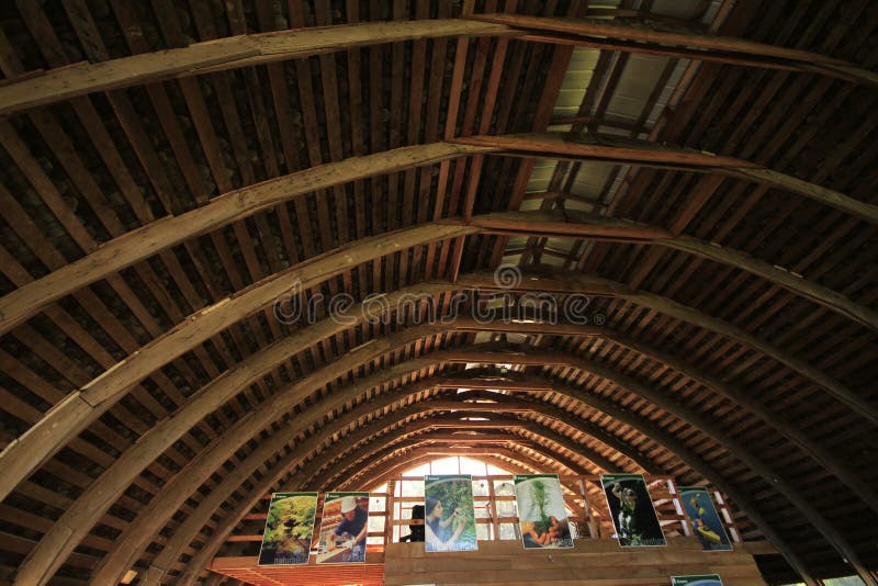 Santuario Naturaleza,瓦尔迪维亚南美 库存图片 Santuario Naturaleza,瓦尔迪维亚南美 库存图片