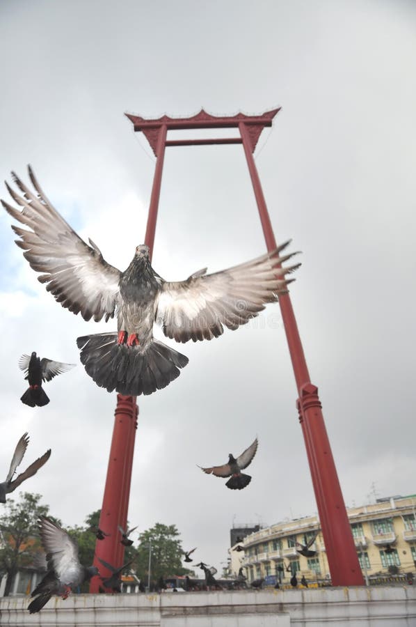 Sao Chingcha Wat Suthat Flying Pigeon