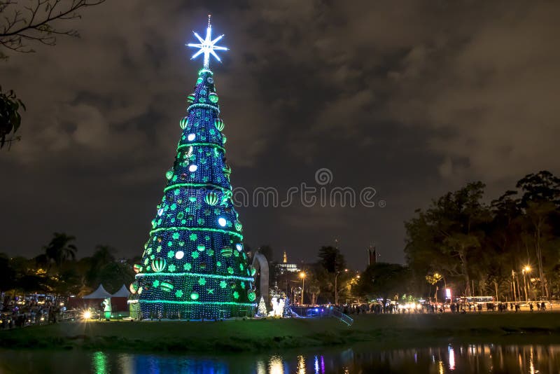 illuminated traditional christmas tree in ibirapuera at