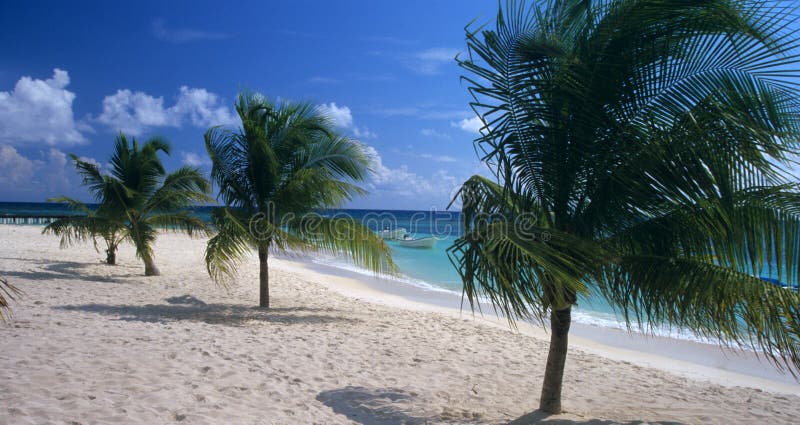 Saona island beach Dominican republic