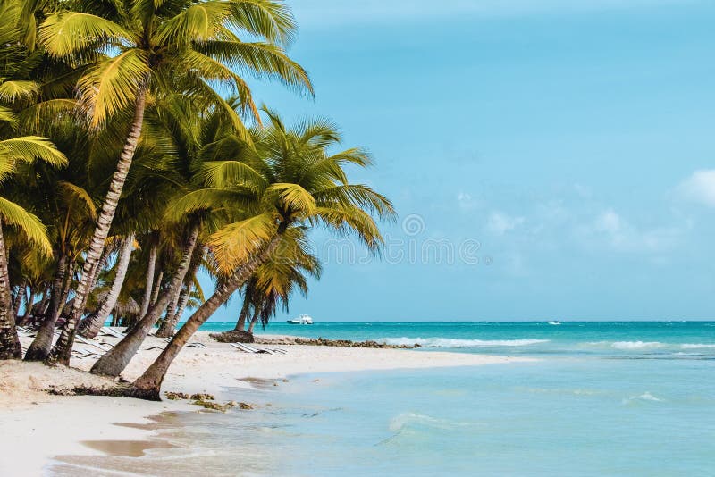 Photo of Bavaro Beaches in Punta Cana, Dominican Republic. Photo of Bavaro Beaches in Punta Cana, Dominican Republic