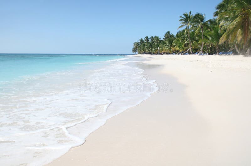 Saona: Sand Beach, Caribbean Ocean and Palm Trees