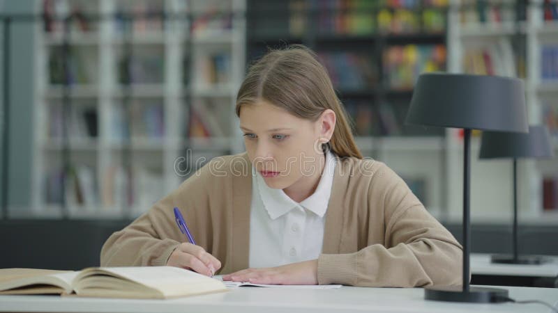 Sapientone che scrive nel libro degli esercizi