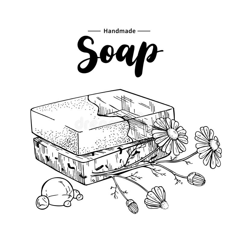 Sapone naturale Handmade Vector l'illustrazione disegnata a mano del cosmetico organico con i fiori medici della camomilla illustrazione vettoriale Sapone naturale Handmade Vector l'illustrazione disegnata a mano del cosmetico organico con i fiori medici della camomilla illustrazione vettoriale