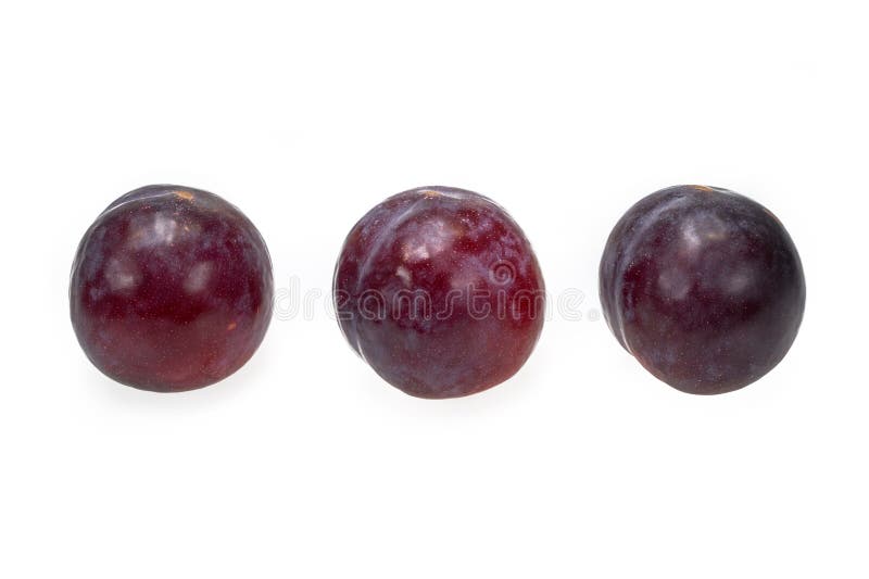 Sappig rood pruimfruit met één enkel hard zaad royalty-vrije stock foto's Sappig rood pruimfruit met één enkel hard zaad royalty-vrije stock foto's