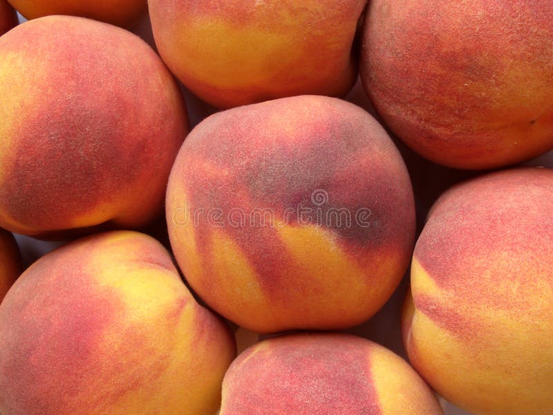Sappige Perziken, Nectarine En Pruimen Op De Keukenlijst Fruit Op De Lijst Stock Foto Image of