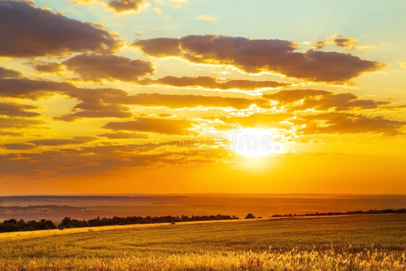 Saratow-Region, -reise, -landschaft und -beschaffenheit von Russland Gelber goldener orange drastischer schöner Sonnenaufgang an lizenzfreie stockbilder Saratow-Region, -reise, -landschaft und -beschaffenheit von Russland Gelber goldener orange drastischer schöner Sonnenaufgang an lizenzfreie stockbilder