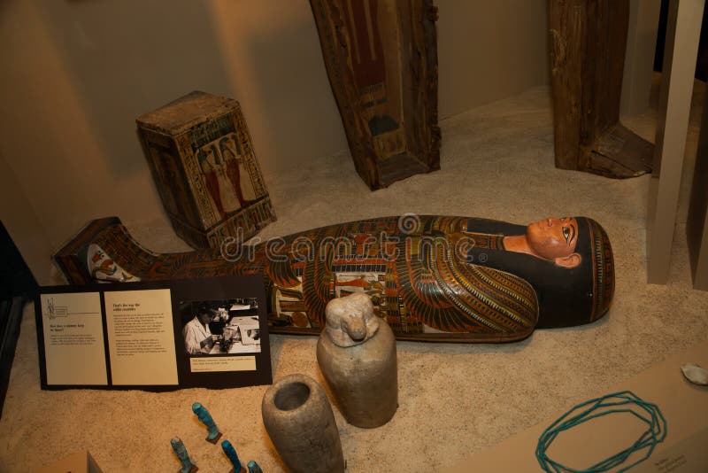 Egyptian Sarcophagus with other artifacts