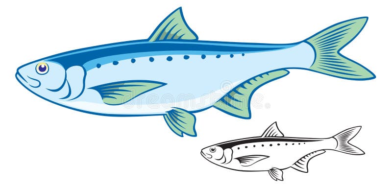 Sardina Ilustraciones Stock, Vectores, Y Clipart – (3,009 Ilustraciones