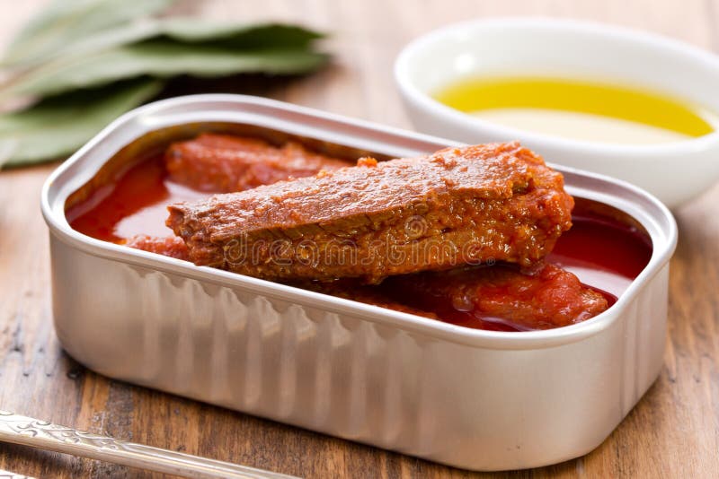 Sardine in Salsa Al Pomodoro in Scatola Immagine Stock Immagine di