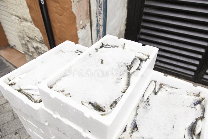 Sardines in boxes with ice stock photo. Image of fishing 50588384