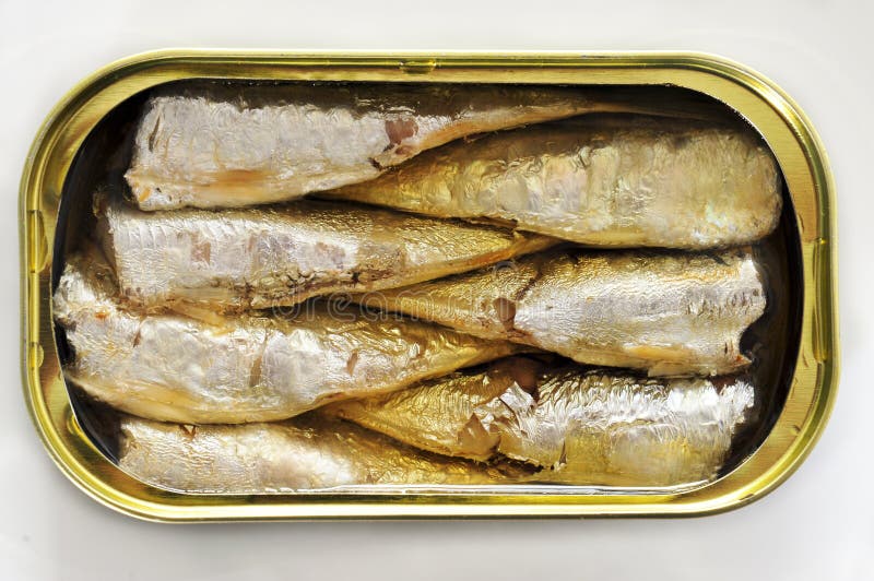 An open can of sardines on a white background. An open can of sardines on a white background