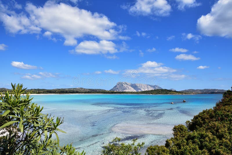 Sardinia sea