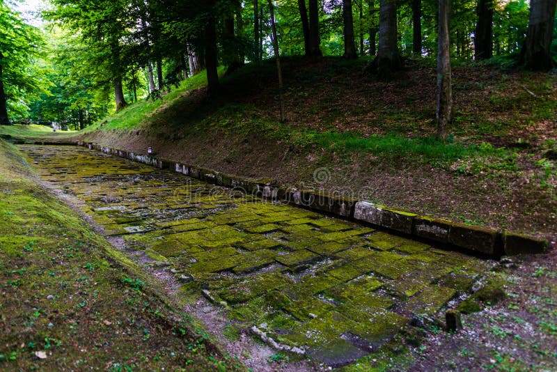 Sarmisegetusa regia, Old ruins in Transilvania, Orastie Mountains, Romania