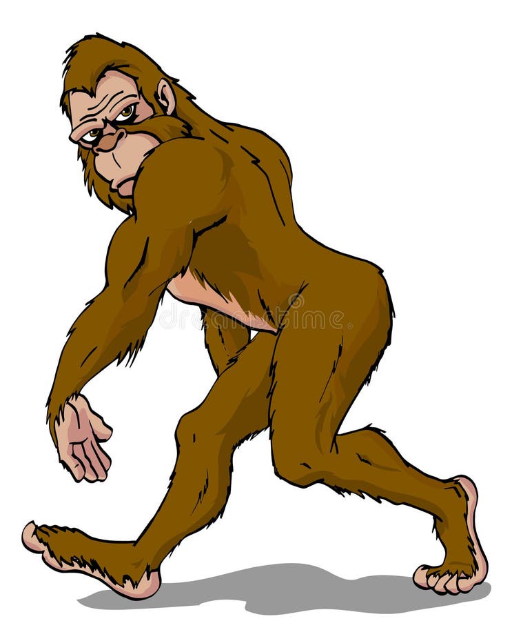 Hand drawn cartoon of a sasquatch walking and looking over his shoulder. Yeti illustrations