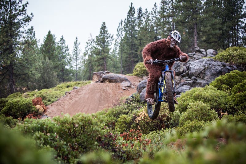 Sasquatch (Yeti) Jumps his bicyclke in the air over a dirt jump near the Deschutes National Forest in Bend, Oregon. Sasquatch (Yeti) Jumps his bicyclke in the air over a dirt jump near the Deschutes National Forest in Bend, Oregon