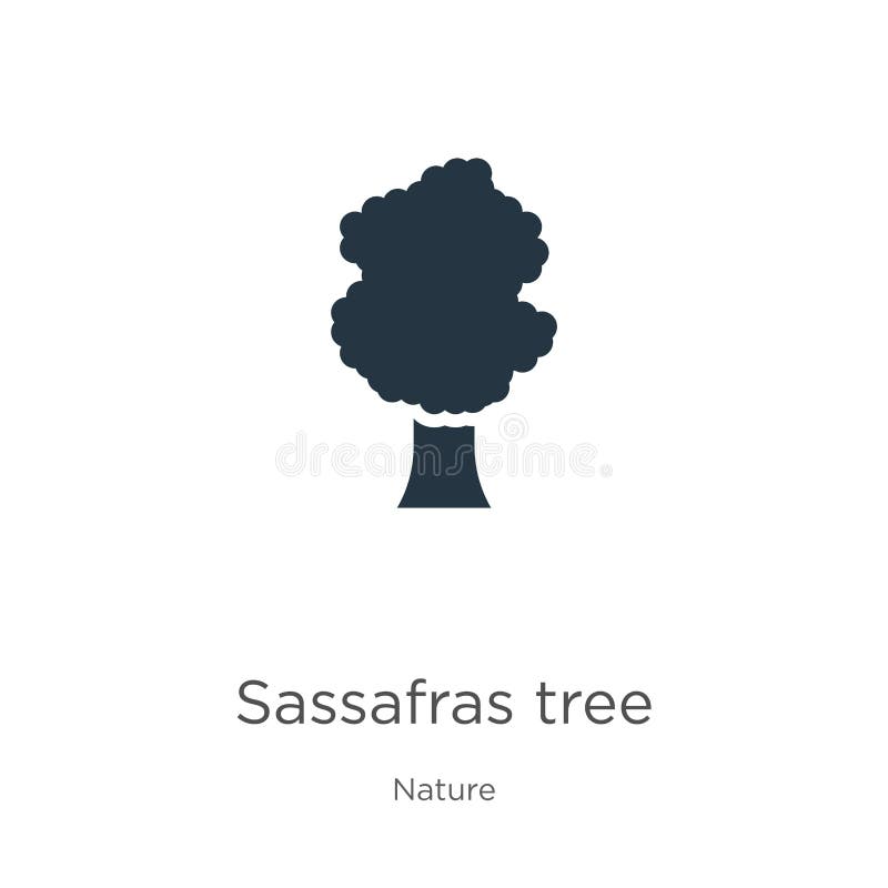 Sassafras-Ikone Trendflache Sassafras-Baumsymbol aus der Natursammlung isoliert von weißem Hintergrund Vector stock abbildung