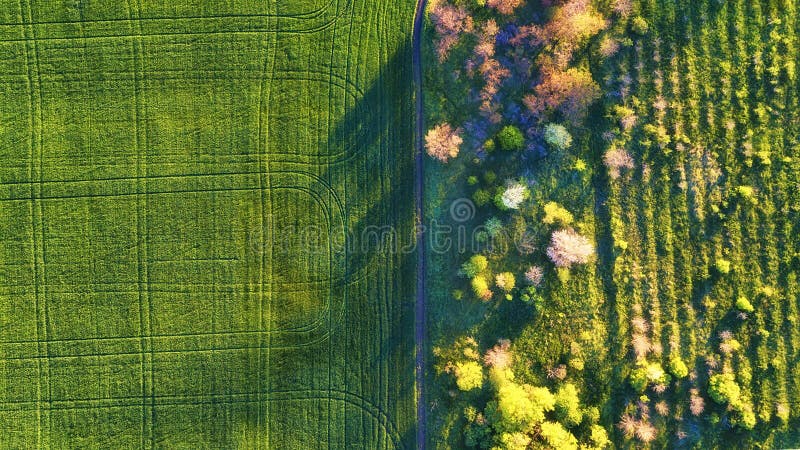 Satellietbeeld bij de tuin en het gebied Landbouwlandschap van lucht Gebied en tuin Landbouwbedrijf in de zomertijd Hommelfotogra stock foto Satellietbeeld bij de tuin en het gebied Landbouwlandschap van lucht Gebied en tuin Landbouwbedrijf in de zomertijd Hommelfotogra stock foto