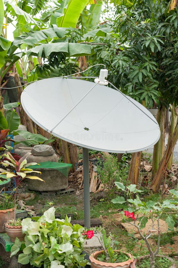 Satellite dish