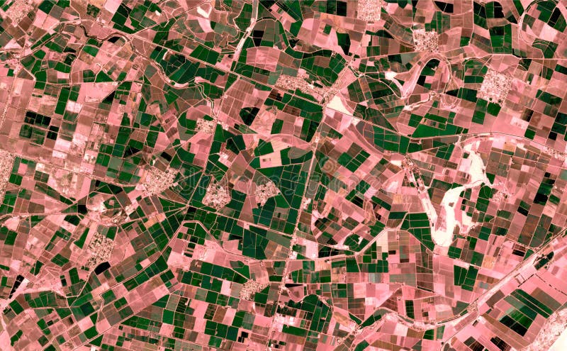 Satellite image where crops are seen over the sonora desert, mexico.