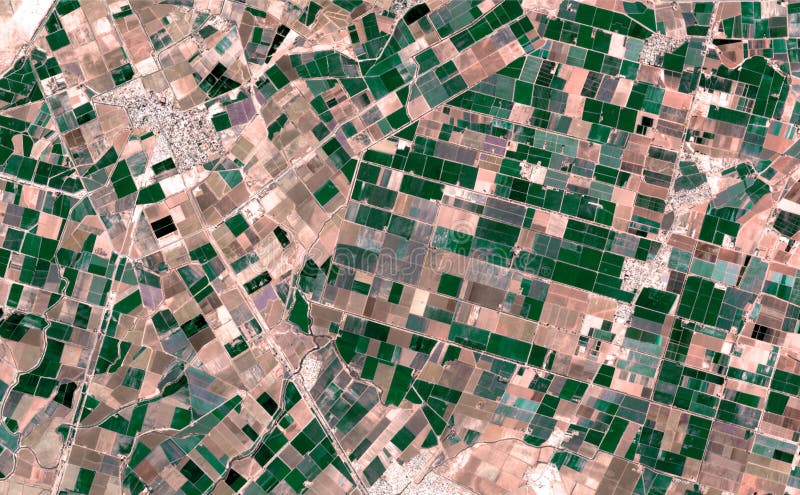 Satellite image where crops are seen over the sonora desert, mexico.