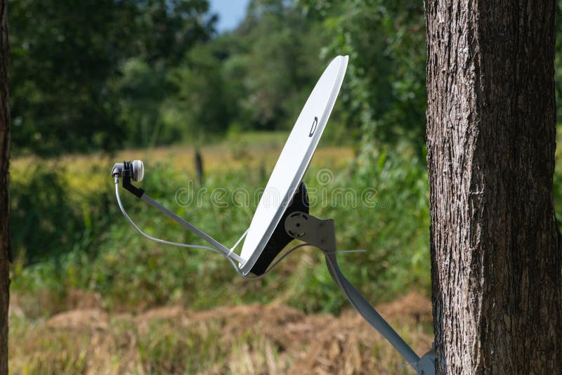 Satellite tv antenna fixed onto a tree trunk outdoor.