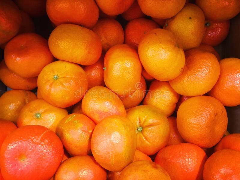 Satsumas stock photo. Image of oranges, round, fruit 67613924