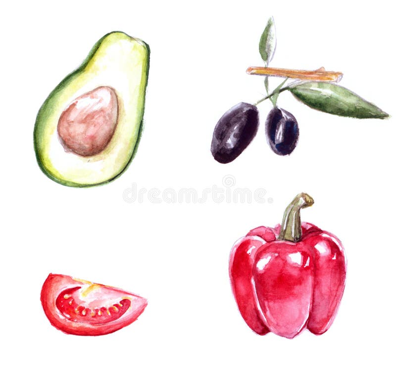 Satz Aquarellmalereien der Avocado, rot vektor abbildung Satz Aquarellmalereien der Avocado, rot vektor abbildung