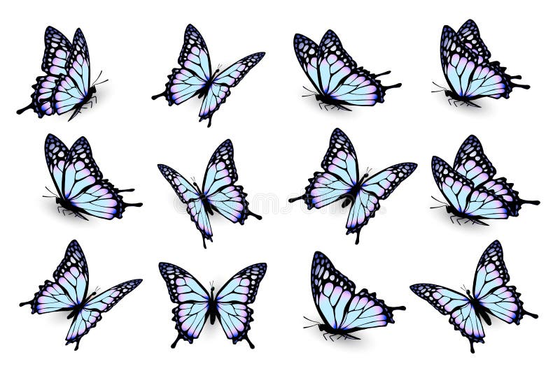 Satz blaue Schmetterlinge, fliegend in verschiedene Richtungen