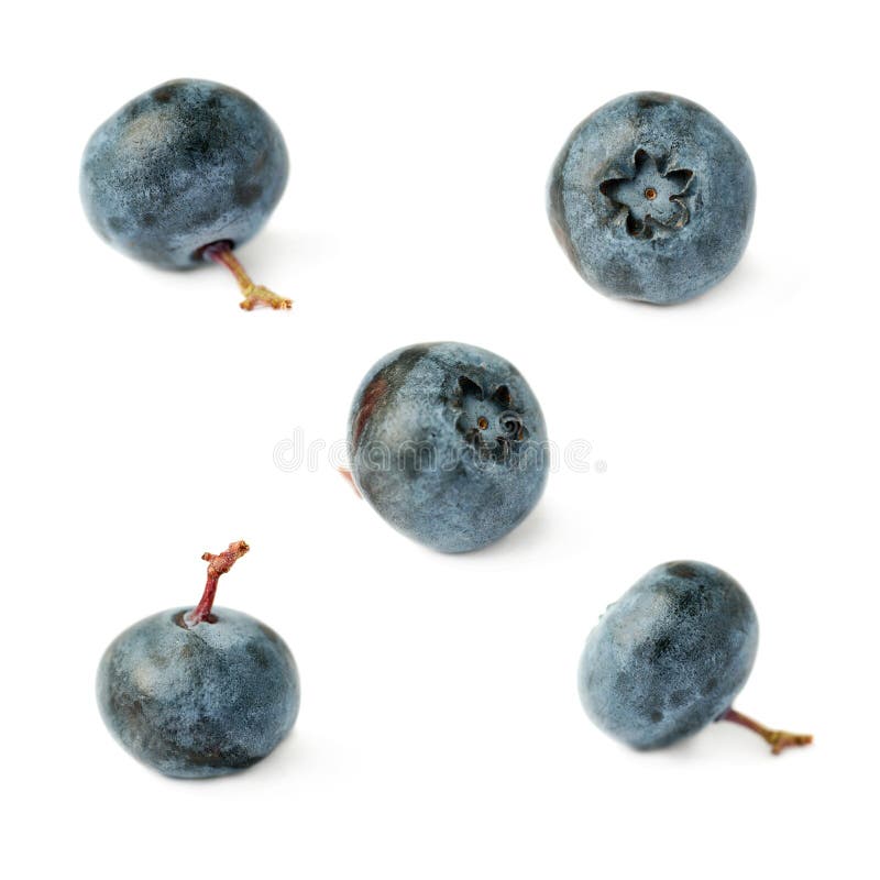 47+ Heidelbeere Und Blaubeere Das Gleiche, Von omas marmelade zum