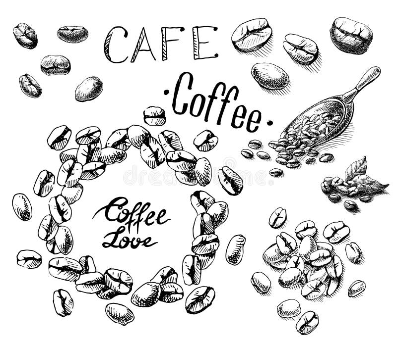 Satz Kaffeebohnen und Blätter und Schaufel