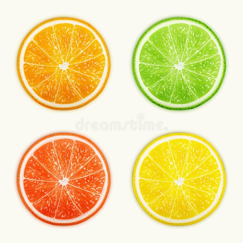 Satz Zitrusfrüchte. Orange, Kalk, Pampelmuse, Zitrone.