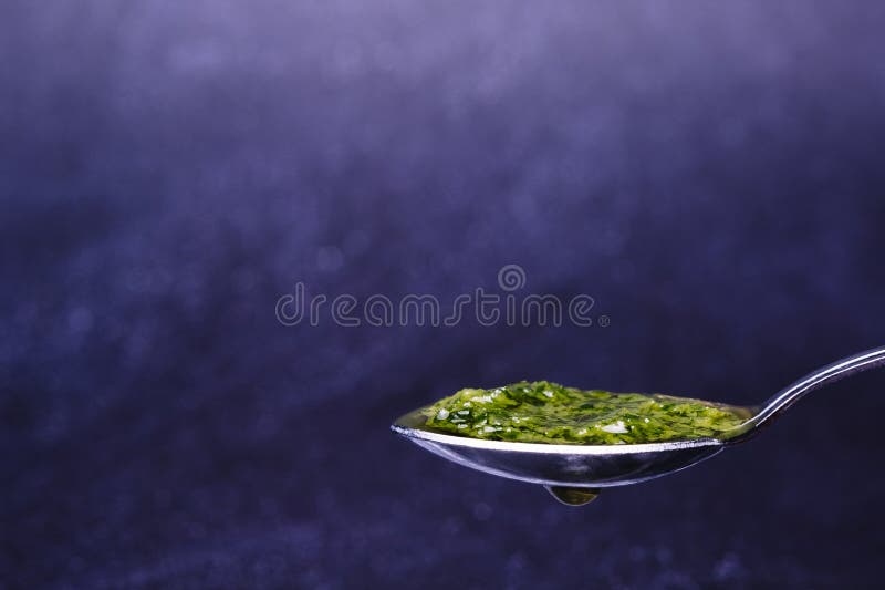 Sauce Composed of Garlic, Oil and Parsley Stock Image Image of