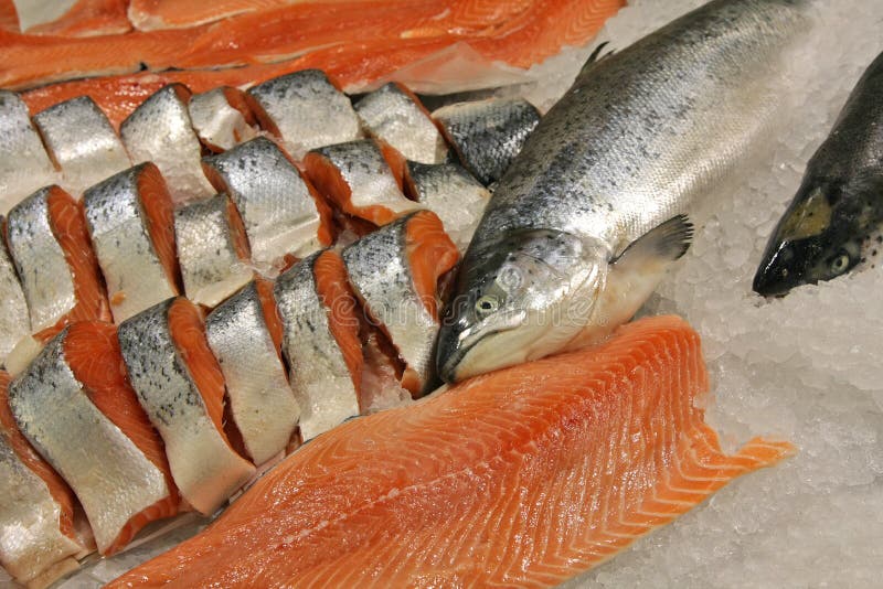 Saumons Saumons