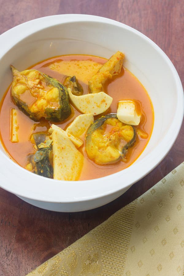 Saure Suppe Bagrid-Welses lizenzfreie stockfotografie