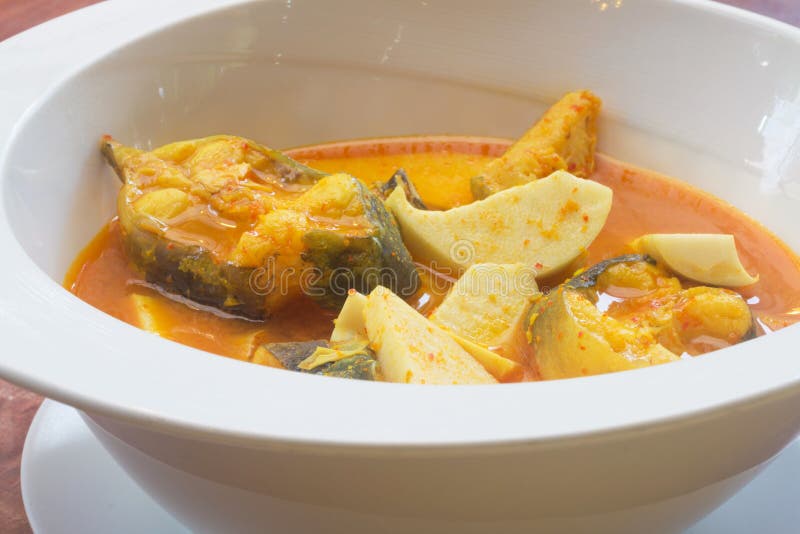 Saure Suppe Bagrid-Welses stockbild