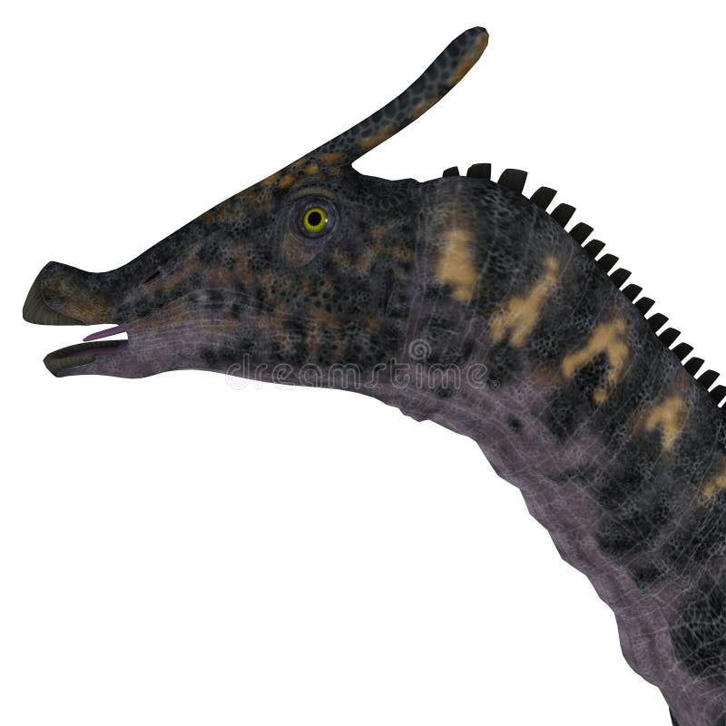 Saurolophus Dinosaur Head stock illustration. Image of herbivorous - 63753922